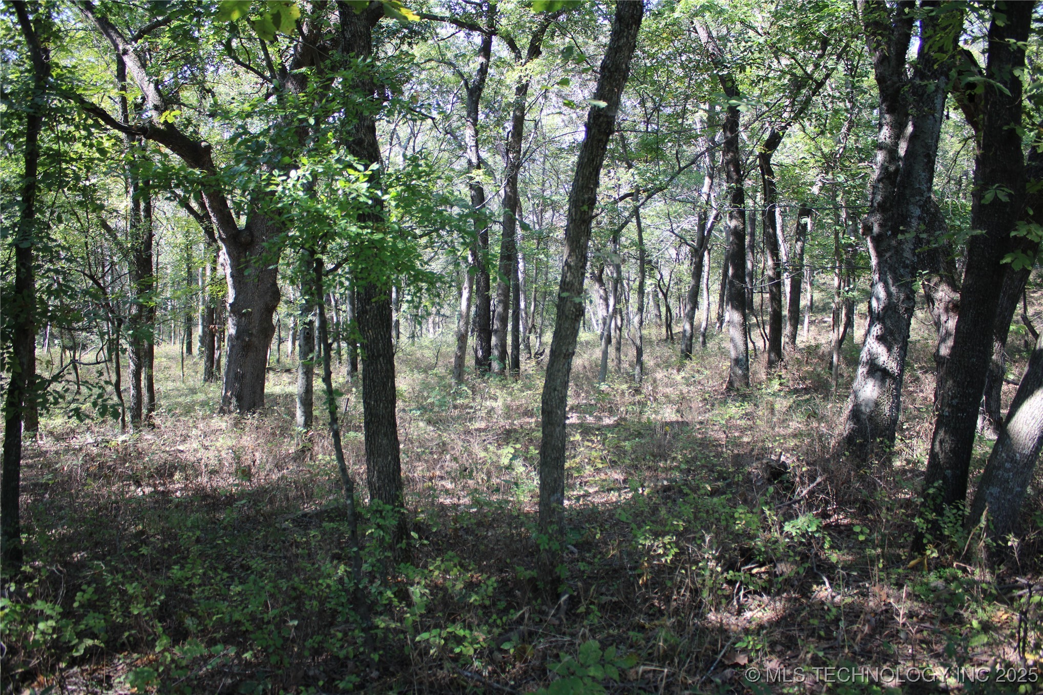 24901 280th Road Chelsea, OK 74016 - Photo 79 of 100 Gallery Image 79