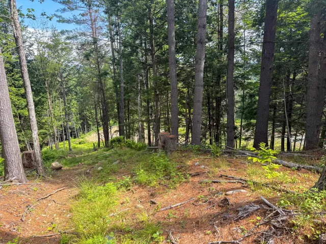 $299,000 | 567 Sawnee Bean Road, Thetford, VT 05075