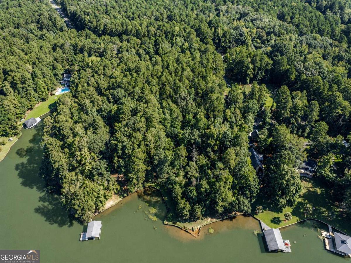 Lot 53 A South Steel Bridge Road Southeast Eatonton, GA 31024 - Photo 5 of 6