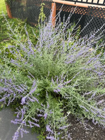 $455,000 | 10770 Fall Court Northwest, Bemidji, MN 56601