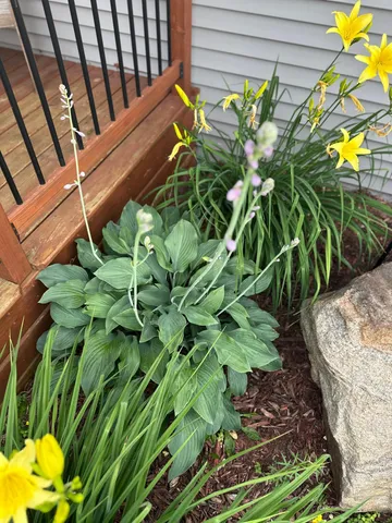 $455,000 | 10770 Fall Court Northwest, Bemidji, MN 56601