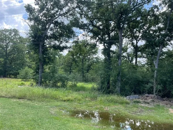 a big yard with lots of green space and deers