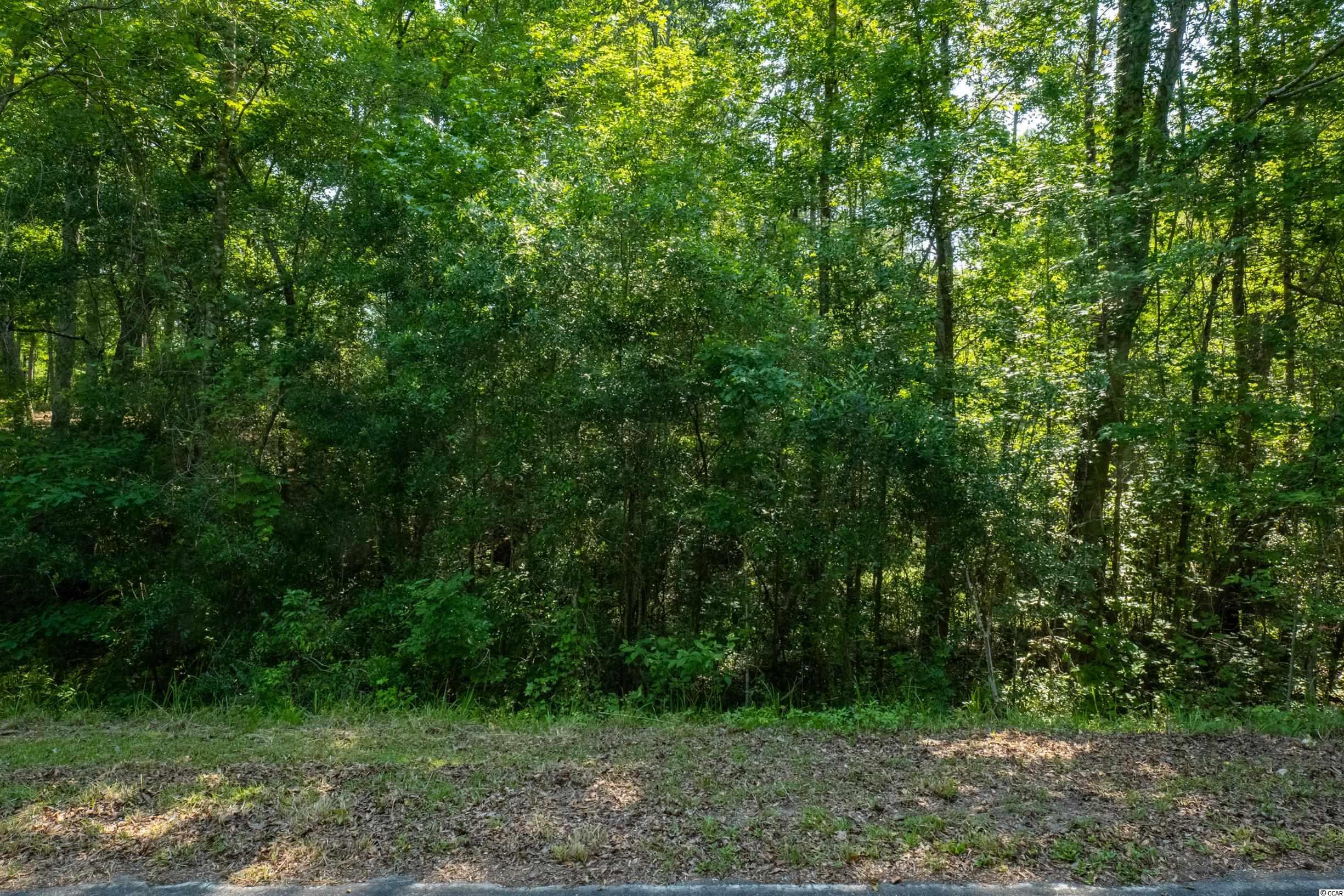 Tbd Francis Marion Drive Georgetown, SC 29440 - Photo 2 of 28