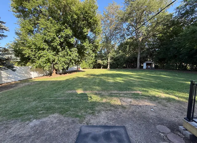 a view of a field with grass and a trees