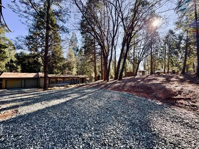 a view of a backyard with large trees