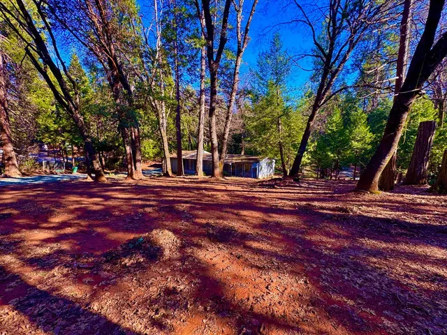 a view of road with trees