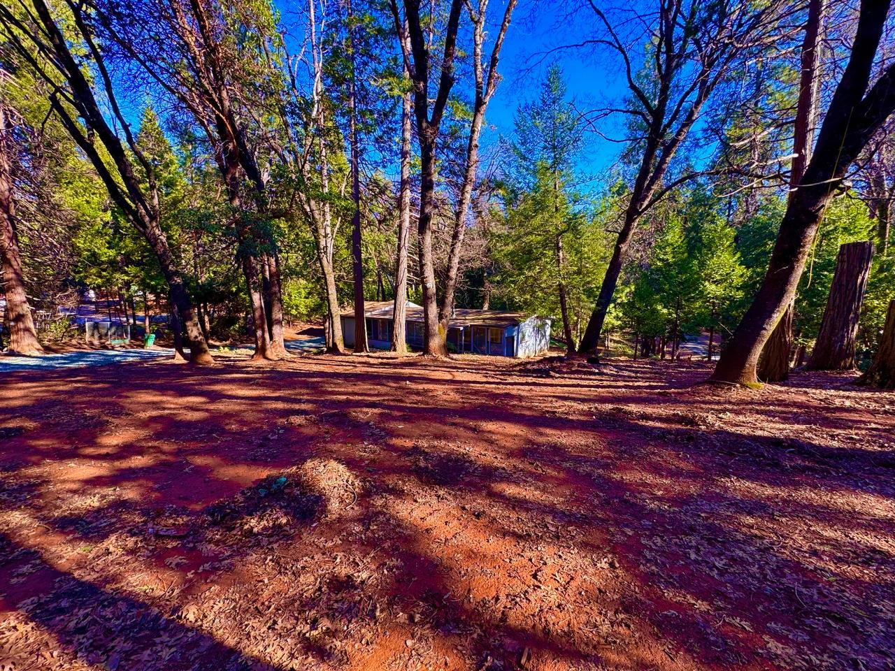 5790 Reservoir Road Georgetown, CA 95634 - Photo 3 of 7 a view of road with trees