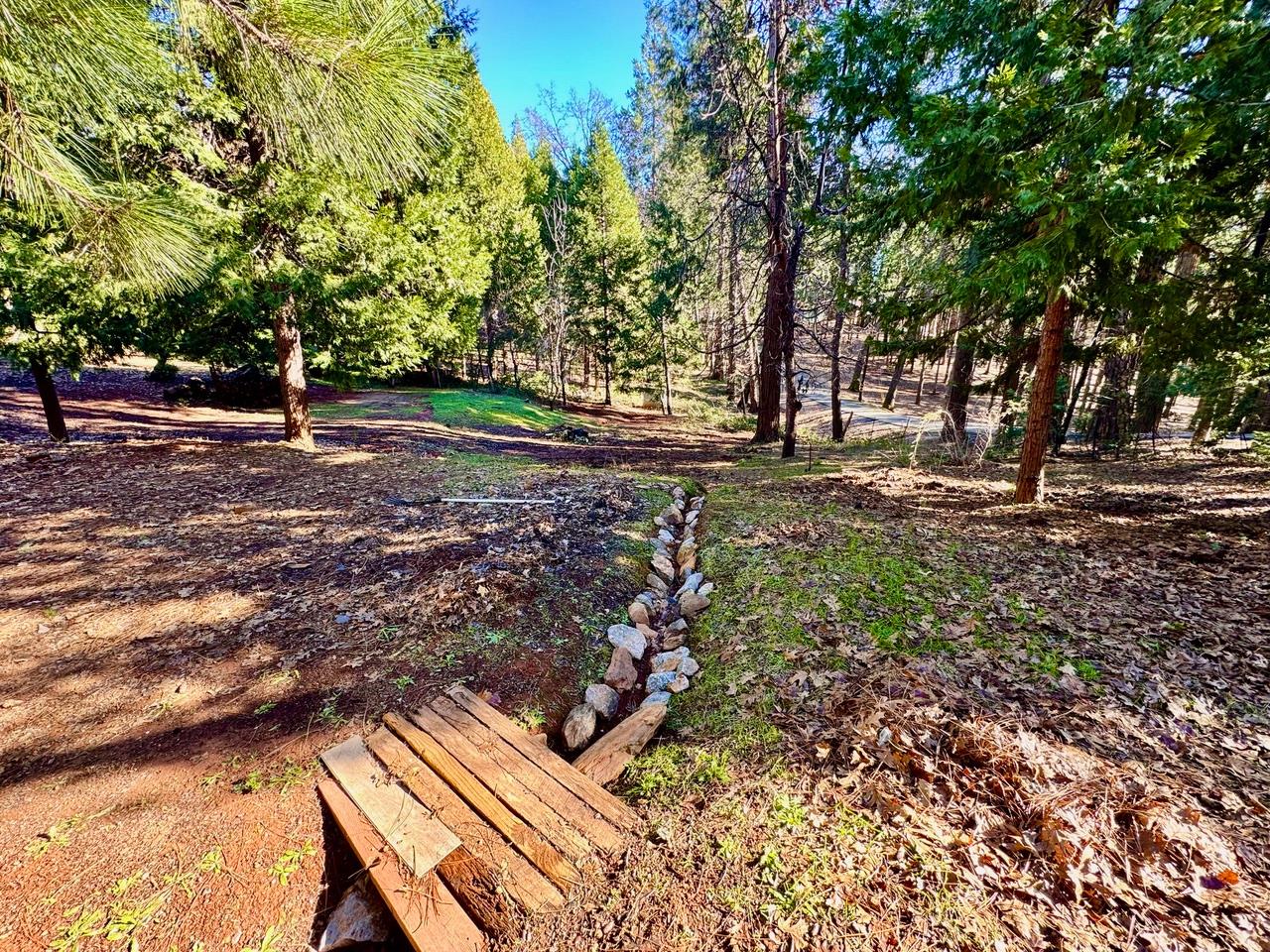 5790 Reservoir Road Georgetown, CA 95634 - Photo 4 of 7 a view of backyard with green space
