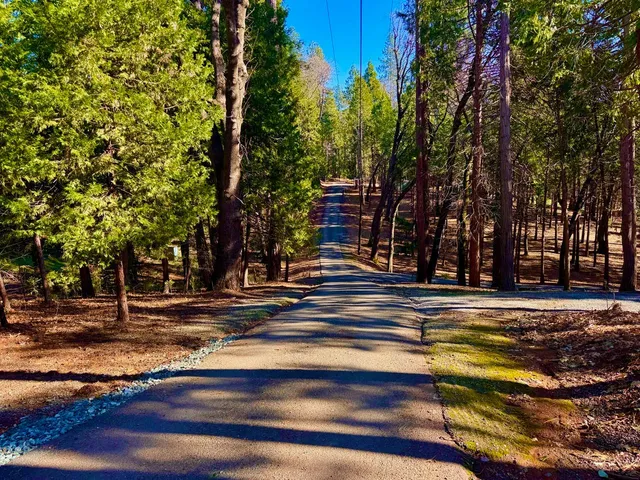 a view of a swimming pool with trees