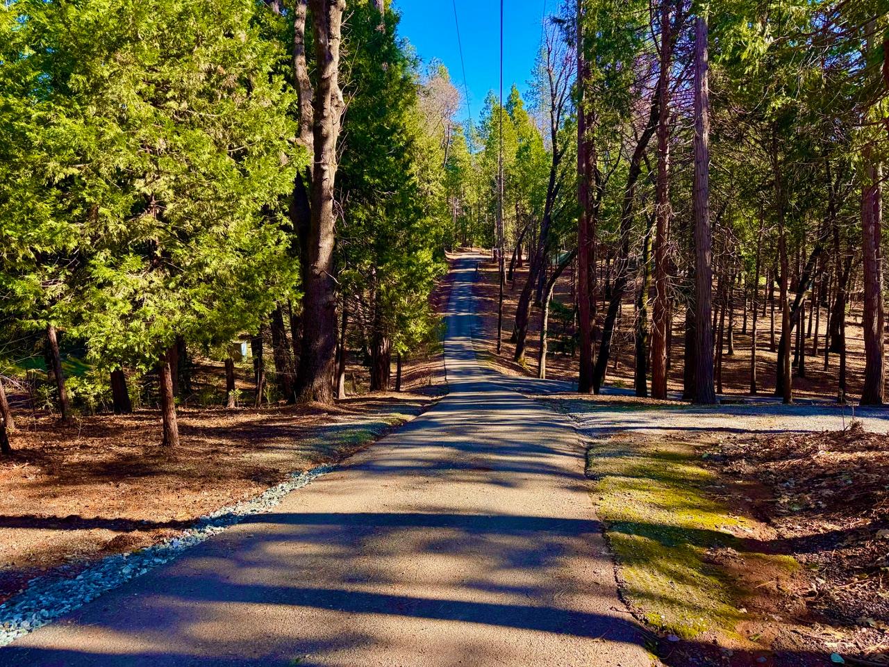 5790 Reservoir Road Georgetown, CA 95634 - Photo 6 of 7 a view of a swimming pool with trees