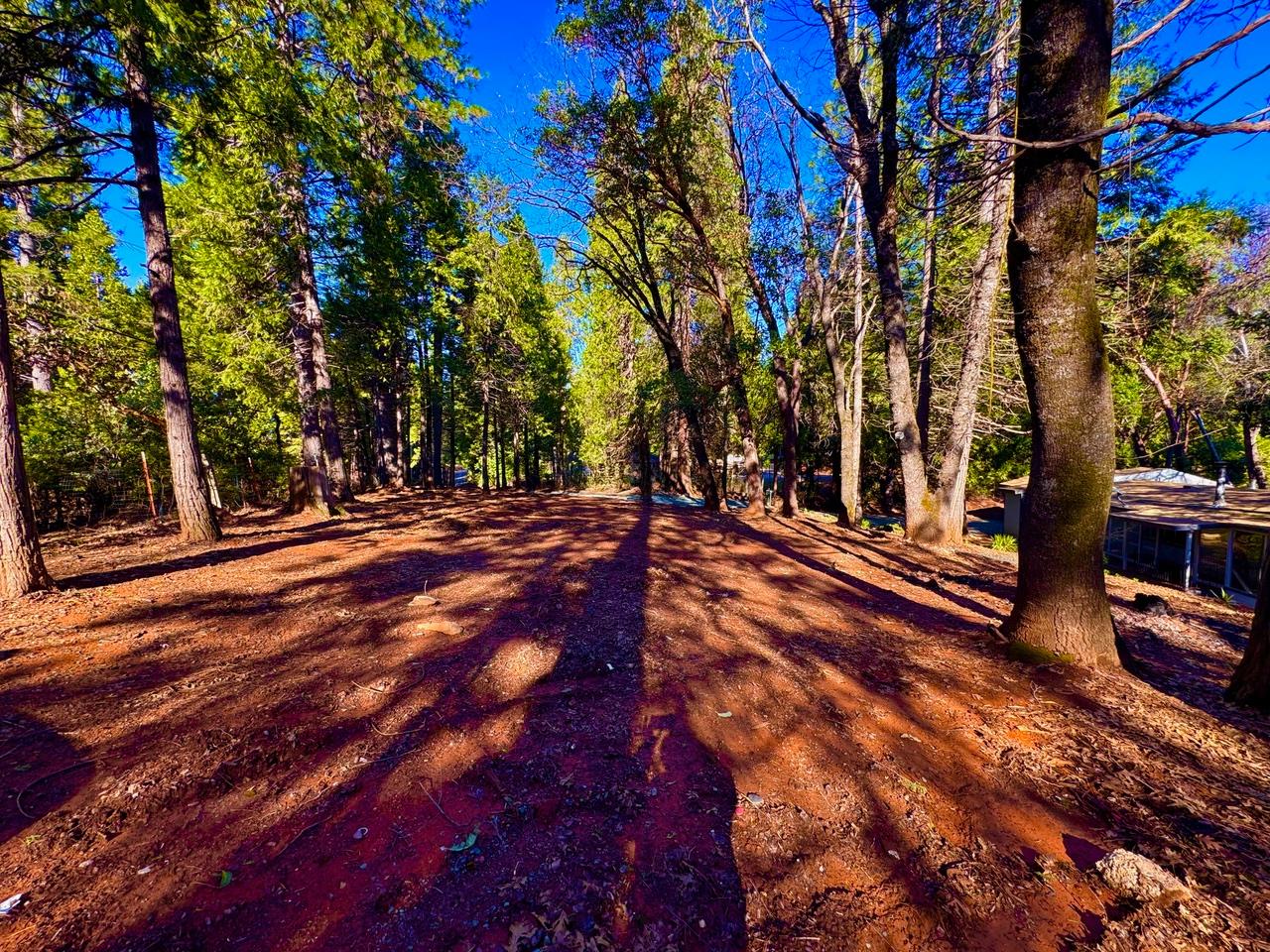 5790 Reservoir Road Georgetown, CA 95634 - Photo 7 of 7 a view of outdoor space with deck and tree