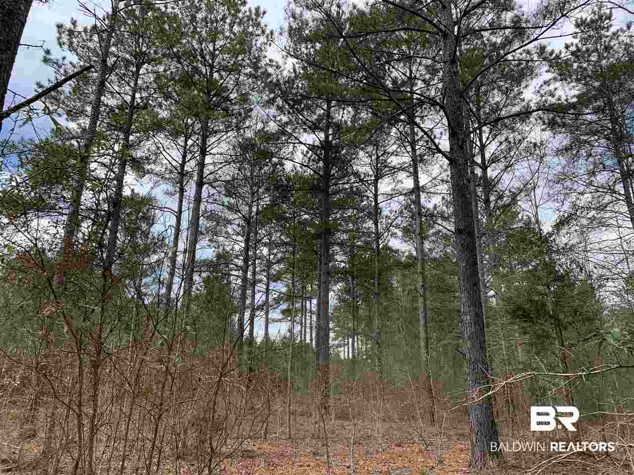 0 Sexton Brg Road Luverne, AL 36049 - Photo 10 of 50