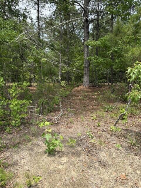 Lot A Cemetery Road Williston, SC 29853 - Photo 6 of 6
