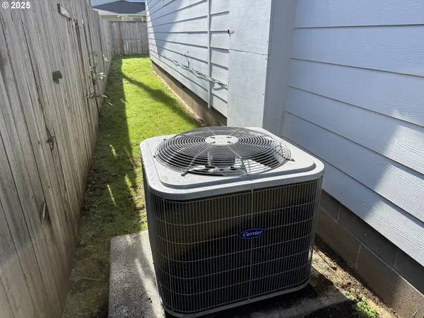 a view of a backyard with plants and a bench