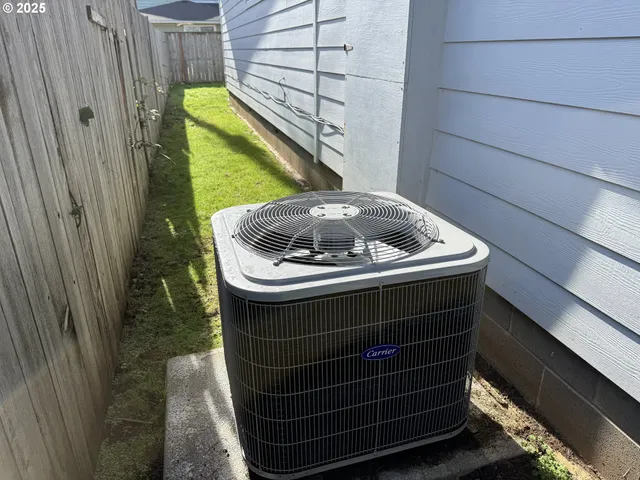 a view of a backyard with plants and a bench