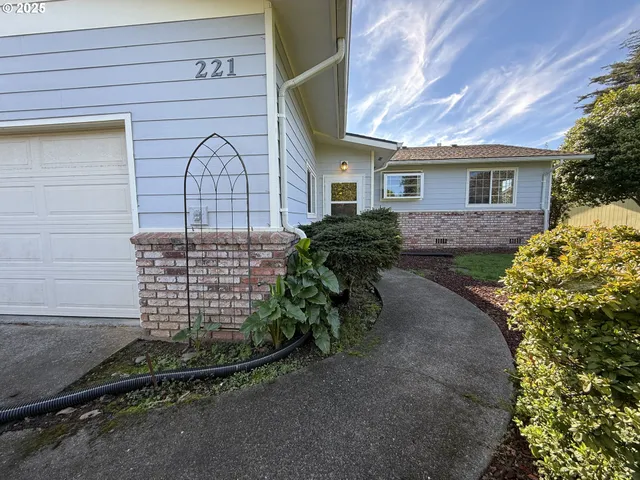 a view of a yard with plants and large trees