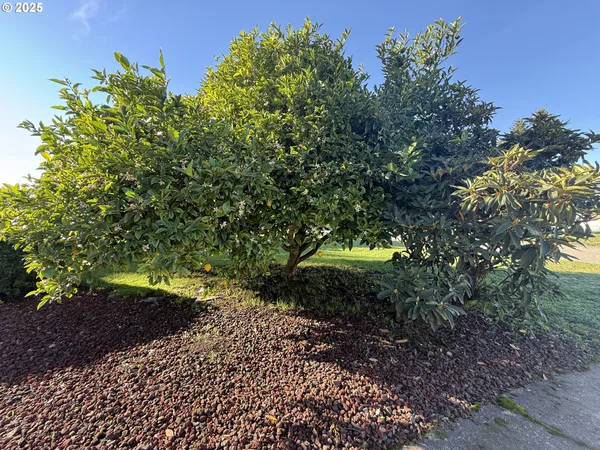 $435,000 | 221 Musser Street, Brookings, OR 97415