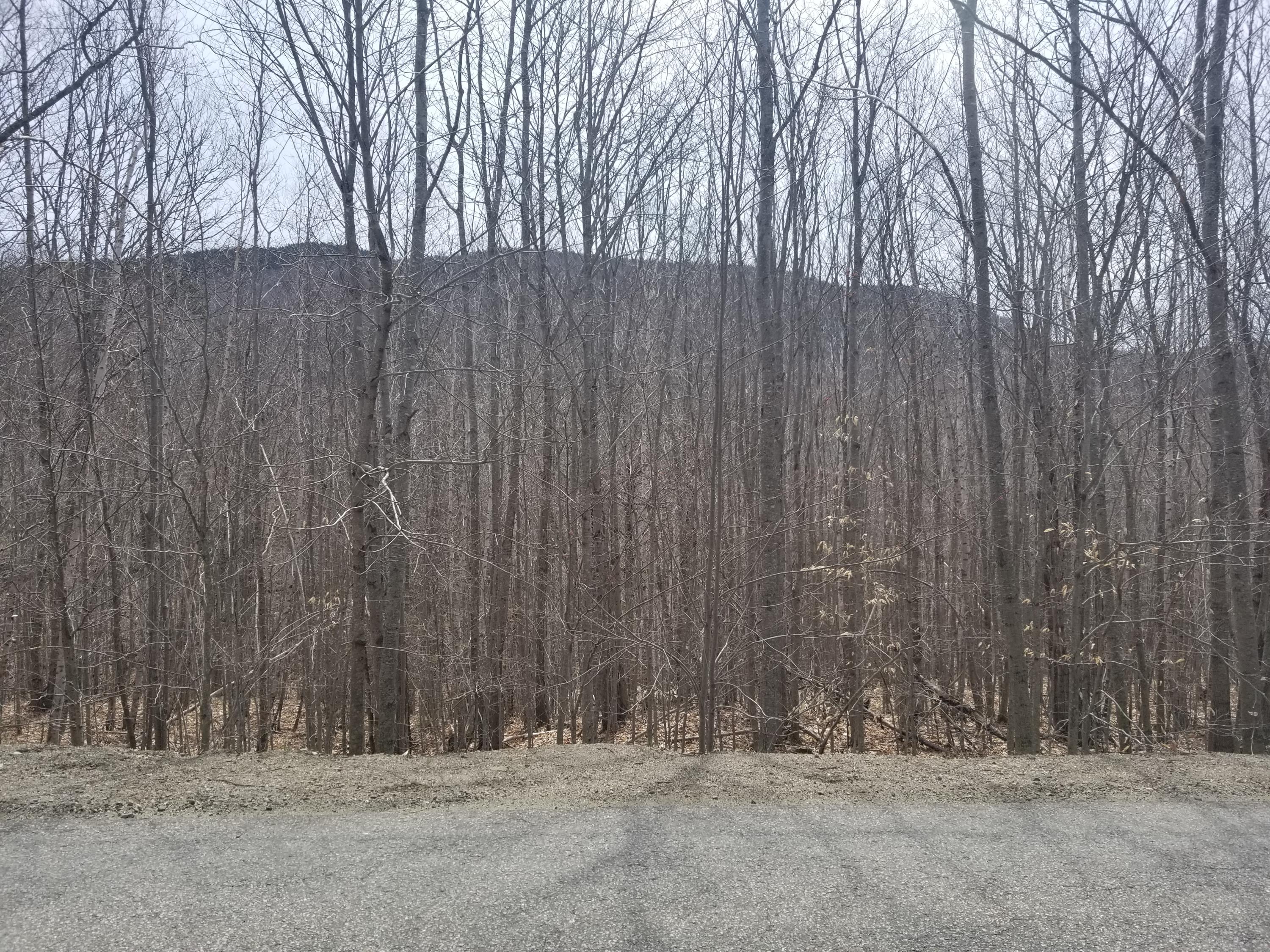 0 Gillette Road Hope, ME 04847 - Photo 1 of 3 20180502_110930
