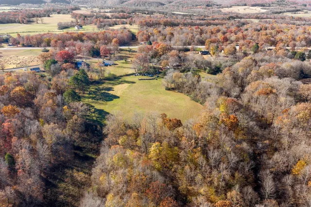 a view of a yard with a tree
