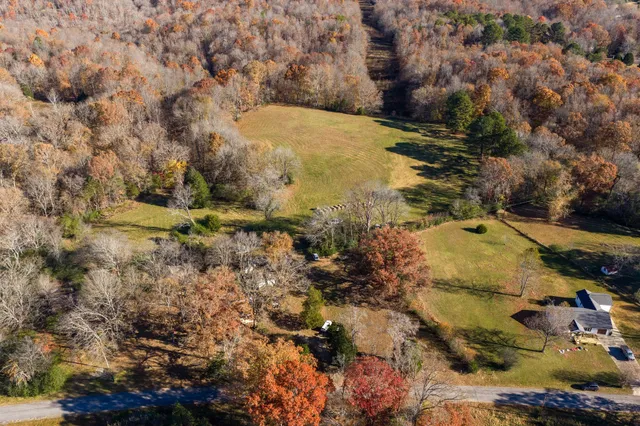 a view of road view with large trees