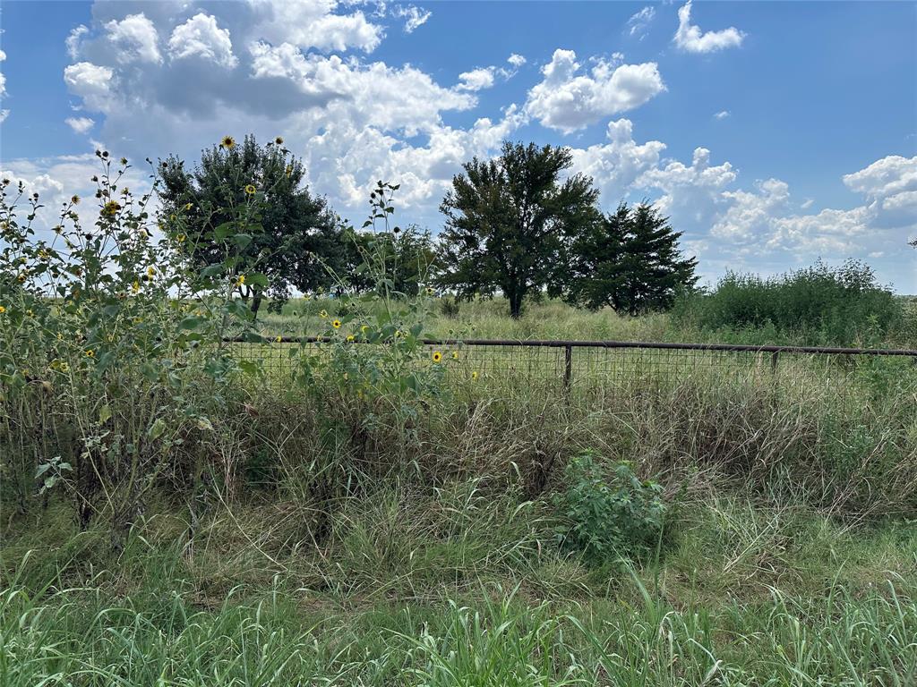 Lot 6 Rutledge Road Whitewright, TX 75491 - Photo 18 of 25