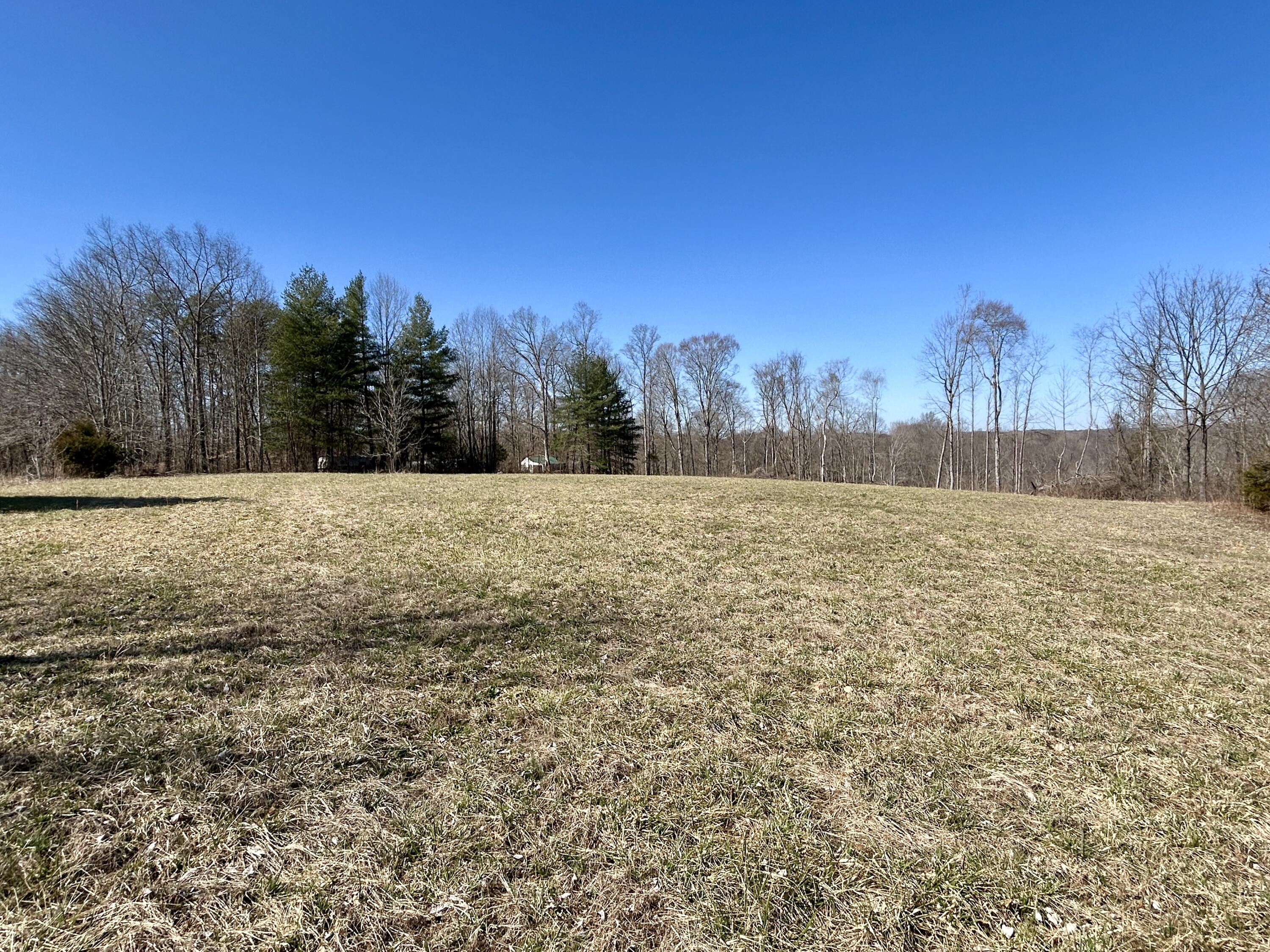 2905 Beech Grove Road Science Hill, KY 42553 - Photo 22 of 26 IMG_6492