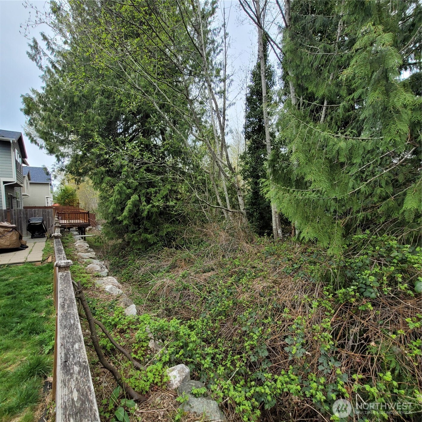 601 Jericho Avenue Northeast Renton, WA 98059 - Photo 2 of 9 a view of a back yard