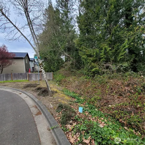 a view of a yard with a tree