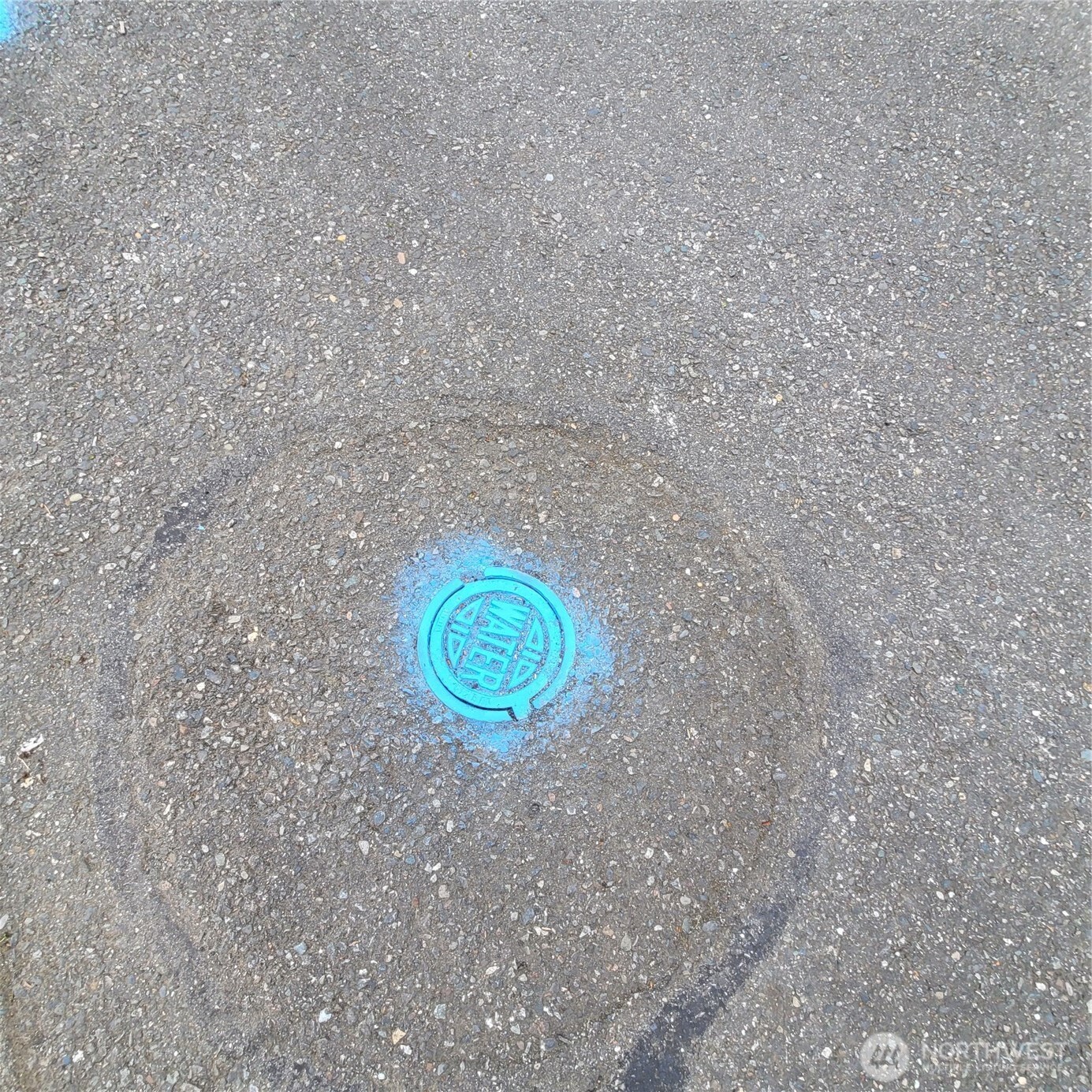 601 Jericho Avenue Northeast Renton, WA 98059 - Photo 7 of 9 a view of cabinets