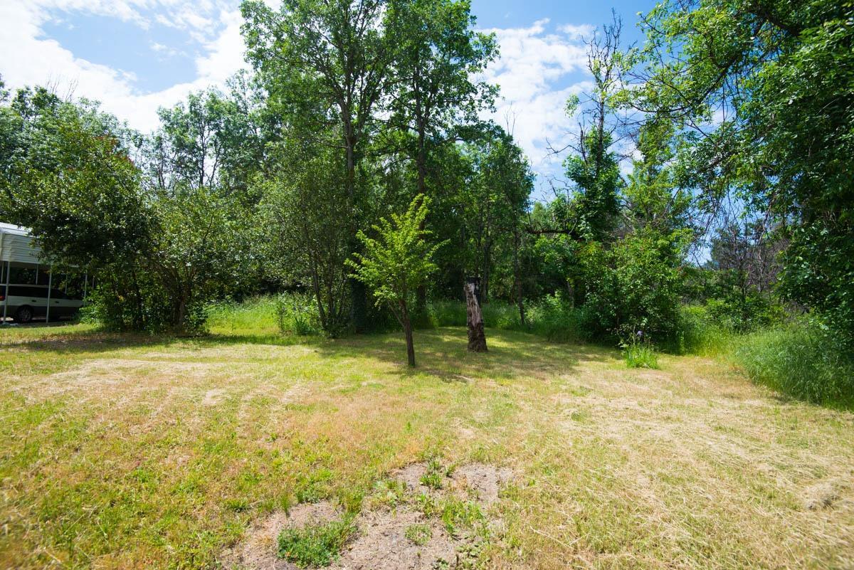 511 Deer Creek Road Selma, OR 97538 - Photo 4 of 21 Additional Photo