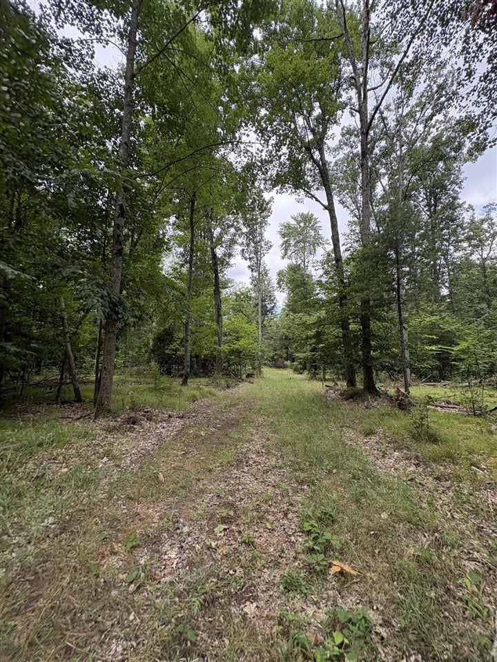 5 5 Mile Road Howard City, MI 49329 - Photo 12 of 99 Gallery Image 12