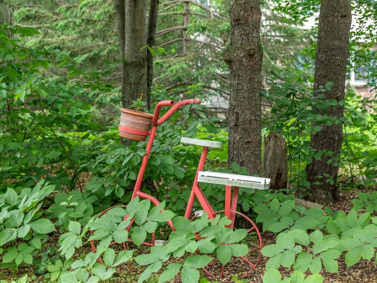 51 Old Sawmill Road Colchester, VT 05446 - Photo 54 of 54 Gallery Image 54