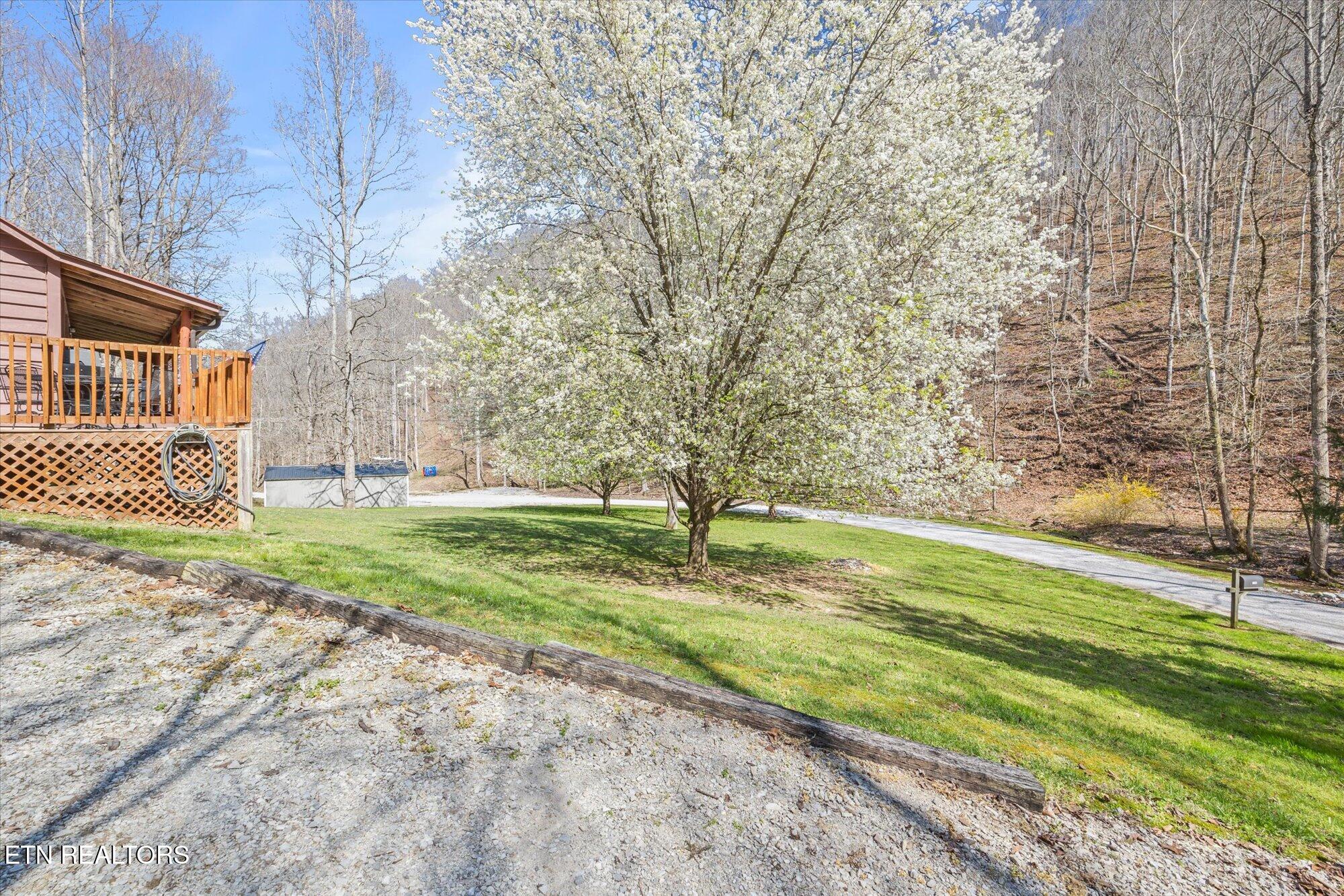 1198 Roughshod Hollow Road Byrdstown, TN 38549 - Photo 8 of 28 09-1198 Roughshod Hollow Rd, Byrdstown_1