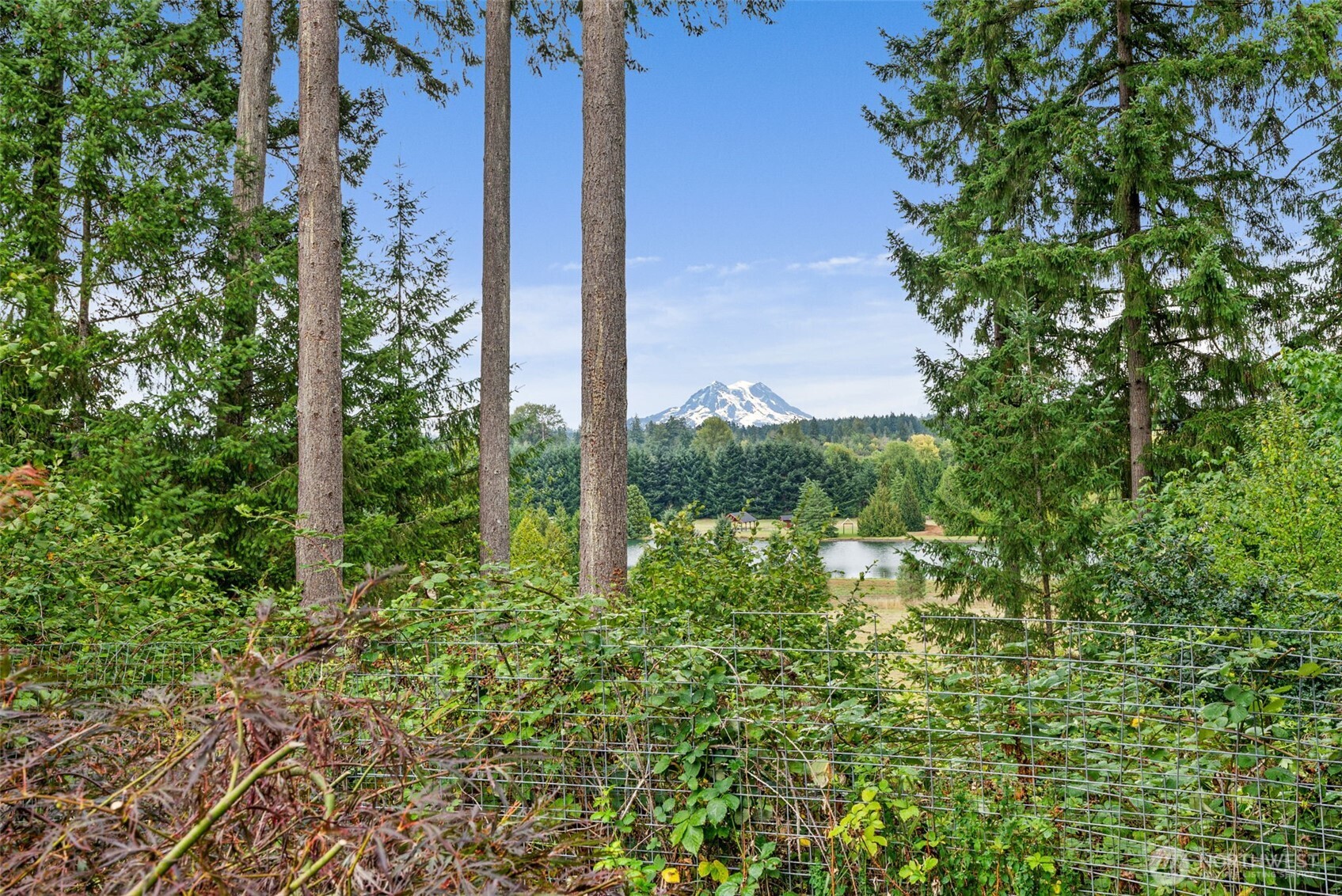 12910 Mima Road Southwest Olympia, WA 98512 - Photo 40 of 40 Gallery Image 40