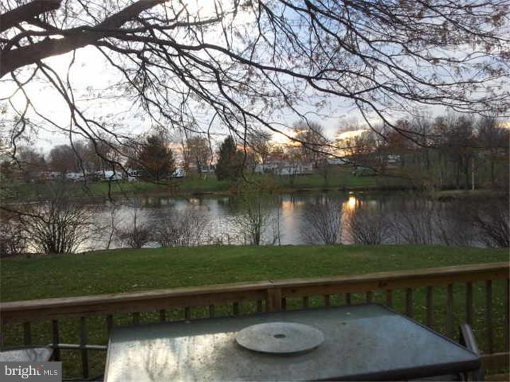 Lake / Pond