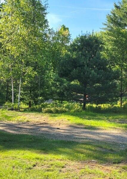 515 Dodlin Road Enfield, ME 04493 - Photo 61 of 74 515 Dodlin Road