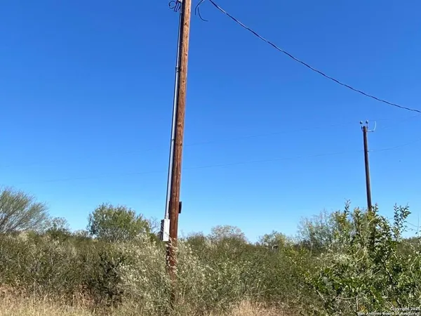 a view of a yard
