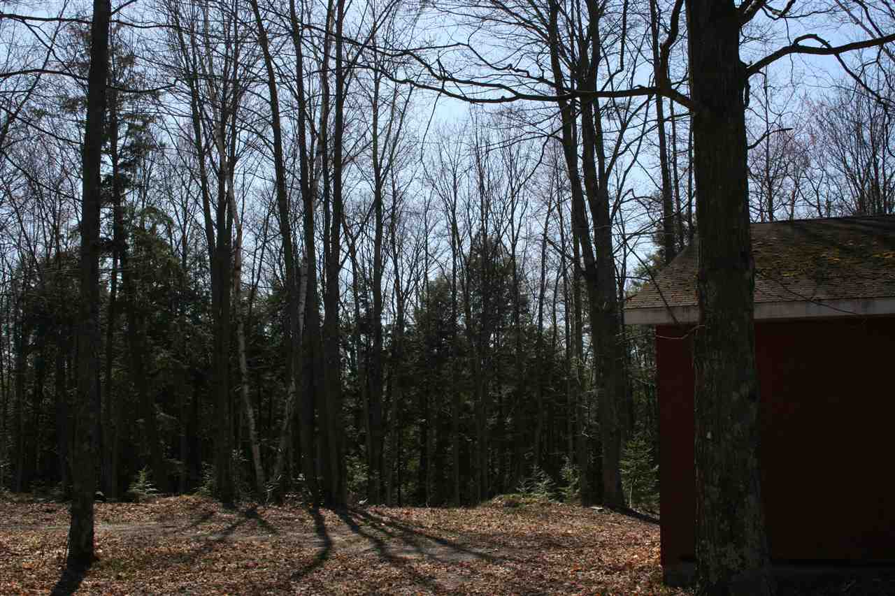 0 Campbell Road Elk Rapids, MI 49629 - Photo 11 of 17 1842007-10.JPG