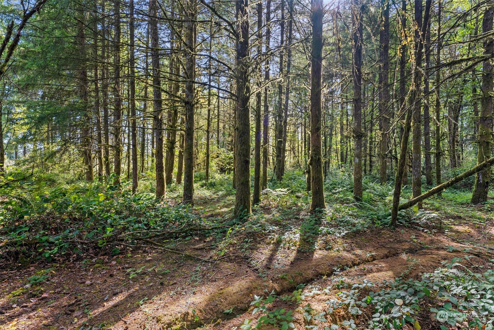 112 Mines Road Winlock, WA 98596 - Photo 29 of 35