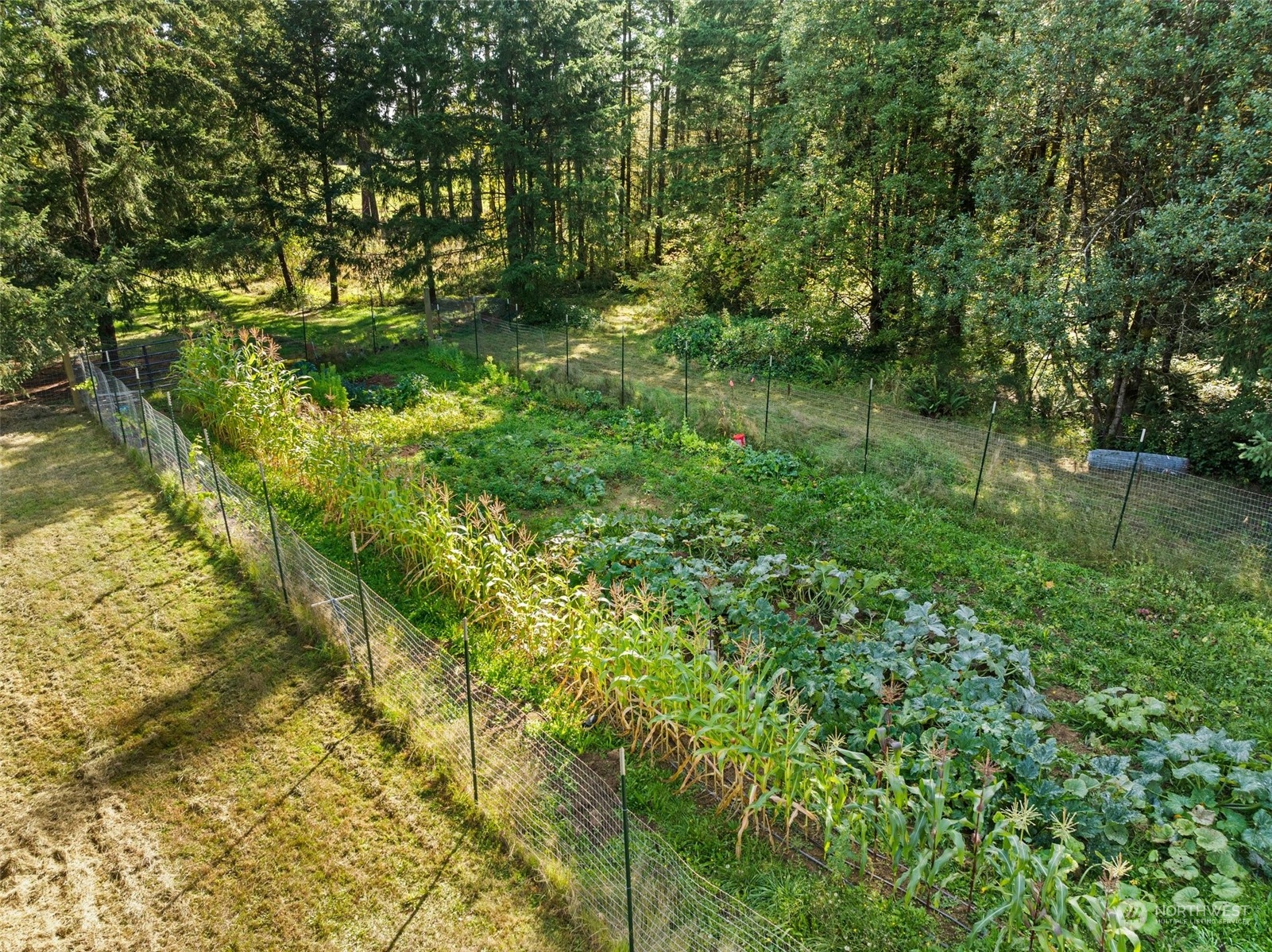 112 Mines Road Winlock, WA 98596 - Photo 32 of 35