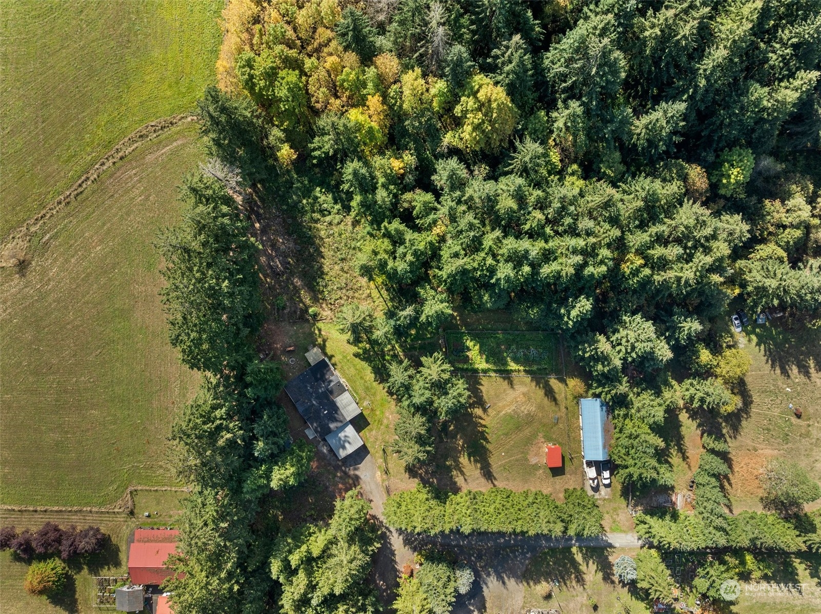 112 Mines Road Winlock, WA 98596 - Photo 34 of 35