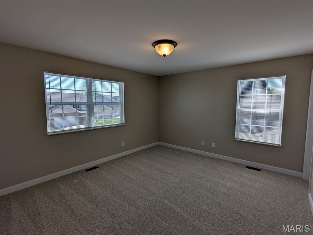 1153 Gulfstream Way Mascoutah, IL 62258 - Photo 28 of 46