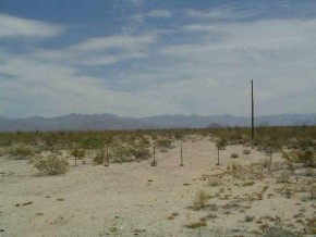 40 I Yucca, AZ 86438 - Photo 2 of 2 Additional Photo