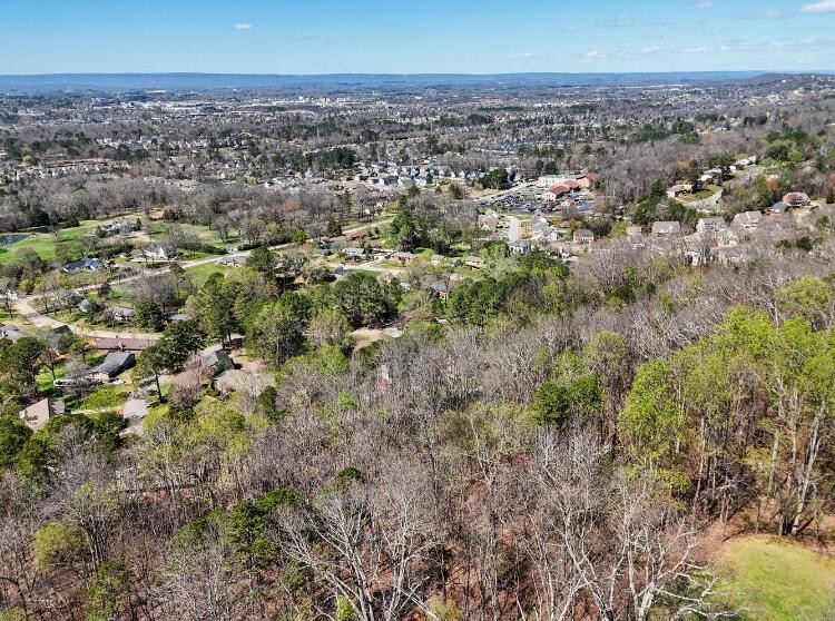 1728 Spring View Lane Chattanooga, TN 37421 - Photo 6 of 12 Gallery Image 6