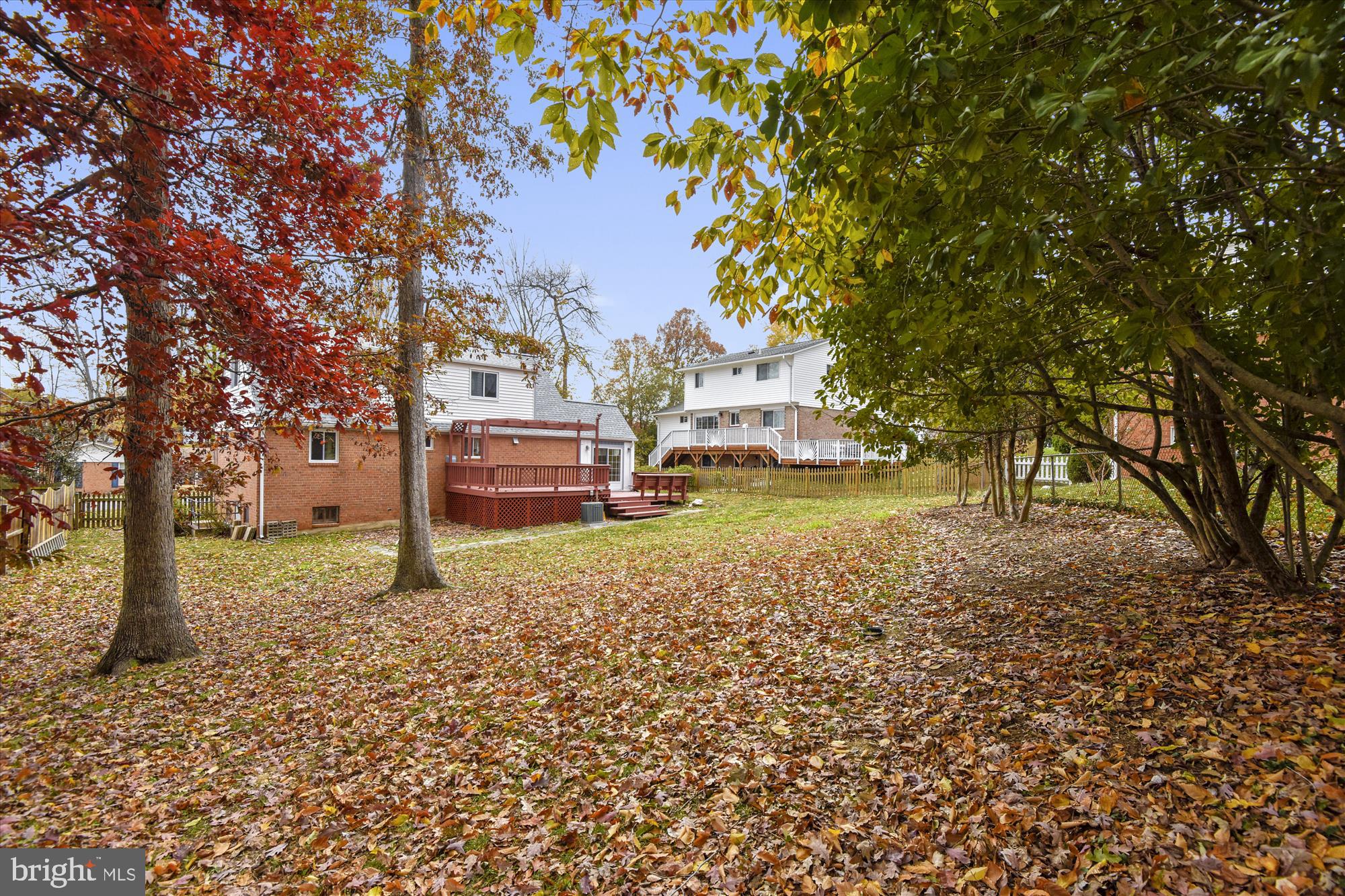 5514 Margate Street Springfield, VA 22151 - Photo 41 of 49 Rear View from back of yard