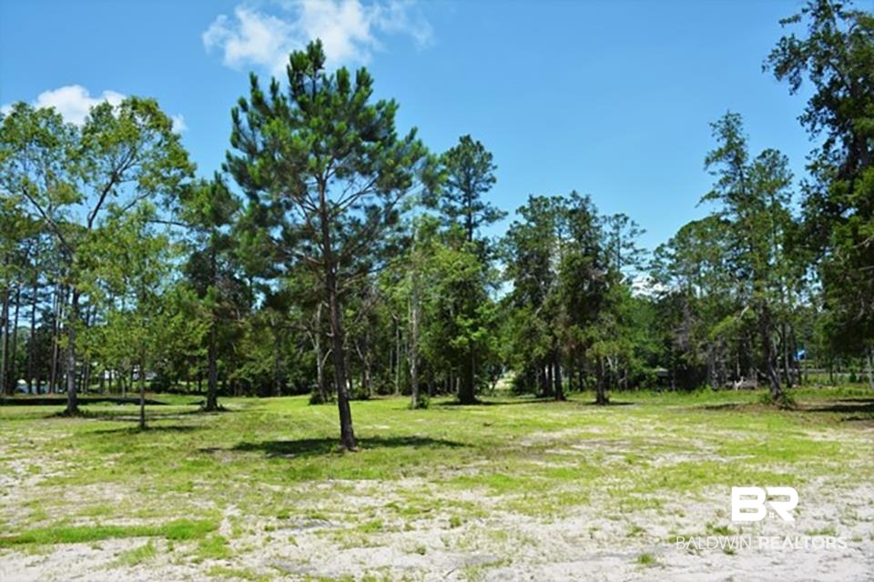 9961 Pelican Bend Elberta, AL 36530 - Photo 11 of 20