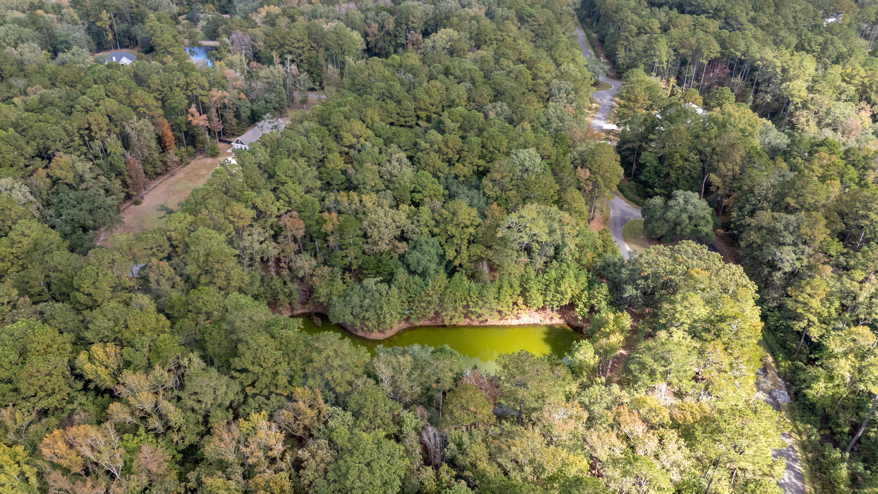 6280 Buttonbush Drive Ravenel, SC 29470 - Photo 5 of 11 buttonbushdr-5