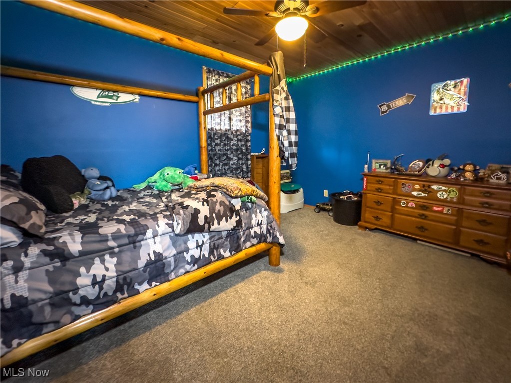 56567 Whiskey Run Road Quaker City, OH 43773 - Photo 25 of 43 Carpeted bedroom featuring wooden ceiling