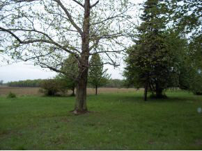 16395 Muckshaw Road Argos, IN 46501 - Photo 12 of 12