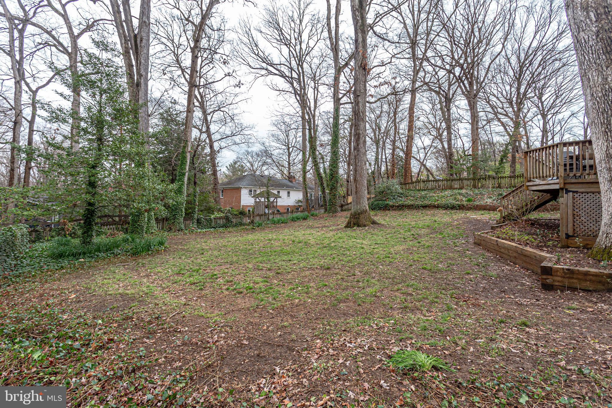7033 Coventry Road Alexandria, VA 22306 - Photo 59 of 79 Gallery Image 59